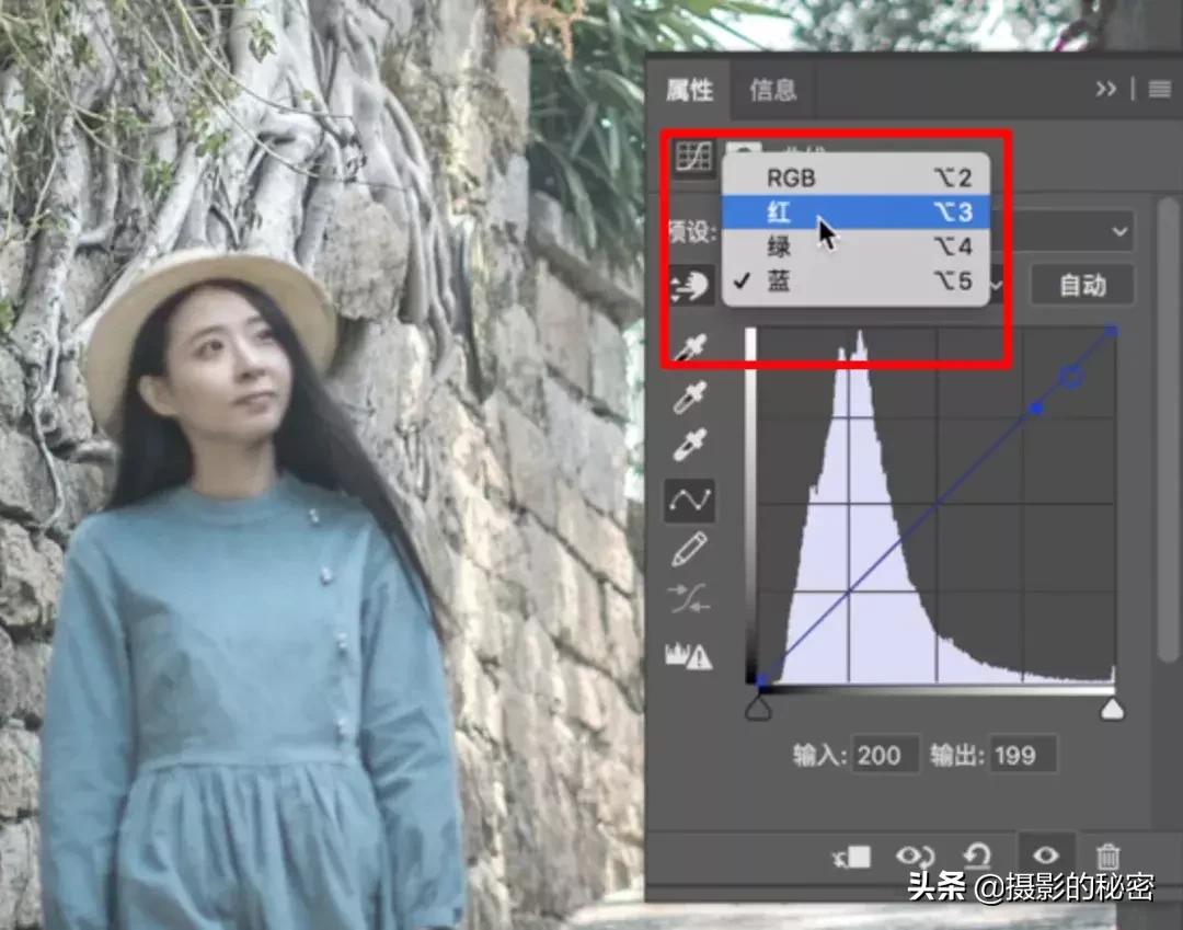 人像怎么拍出光影,怎样塑造人物形象阅读理解