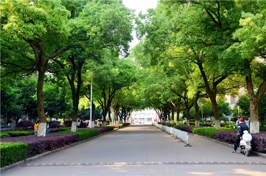 厉害了我的大学!100张图告诉你,有一种青春叫瑶湖高校!