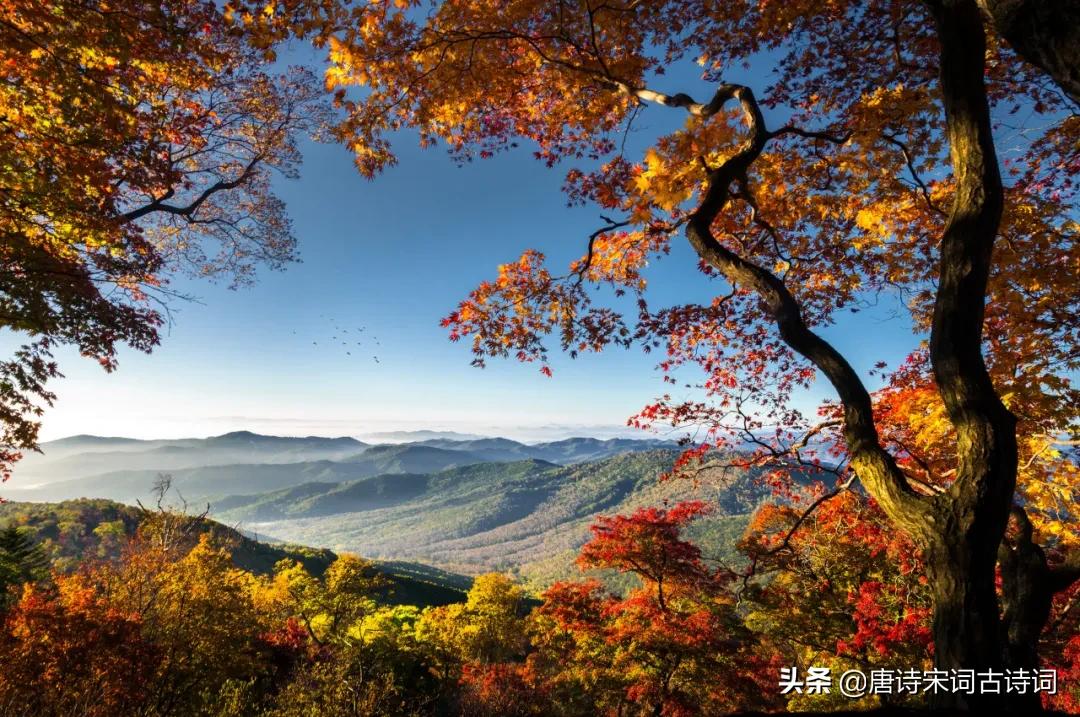 古人经典古训人生至理名言,古人涵养心性十句名言