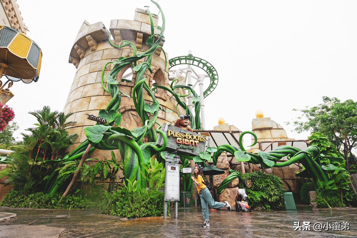 5年之许,小白逆袭重返新加坡