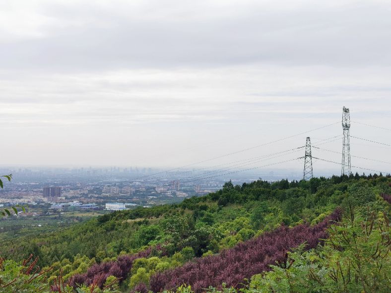 西安洪庆焚书坑儒,洪庆山焚书坑儒