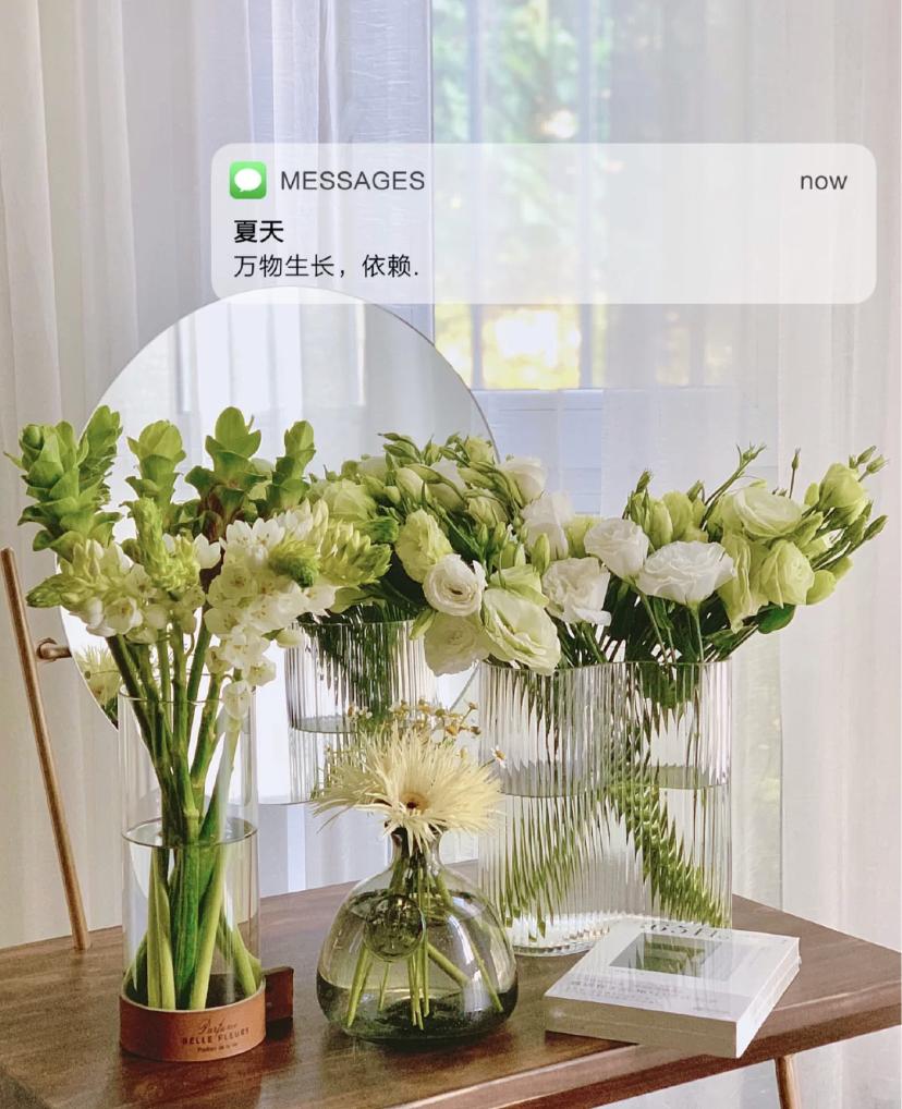 家里要有氛围感什么花比较好,家里高级的花