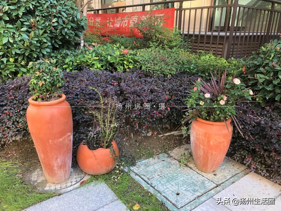 美到极致的园林景观！被扬州这个小区圈粉了！内部细节曝光