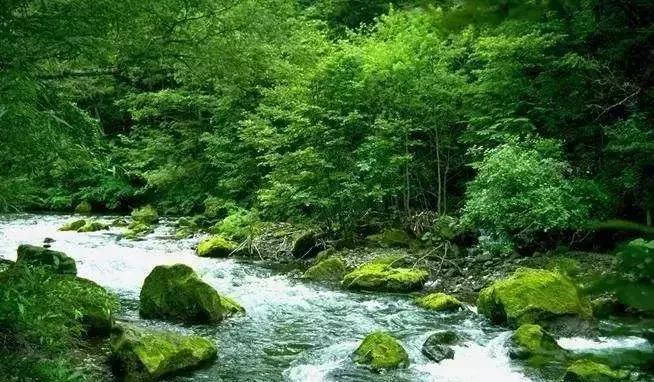 人生必经的三种境界,人生必经之三件事