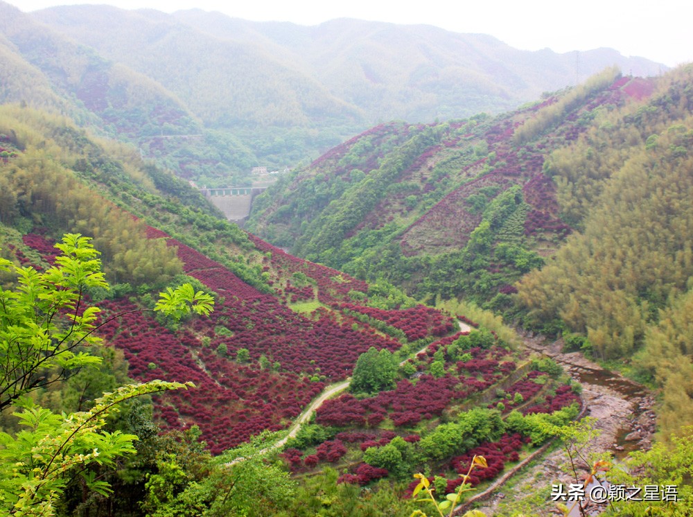 四明山十大观景台排名,四明山观景平台海拔