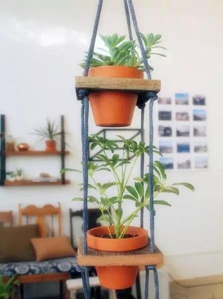 家庭养花的花架装饰效果图,养花达人的室内阳台