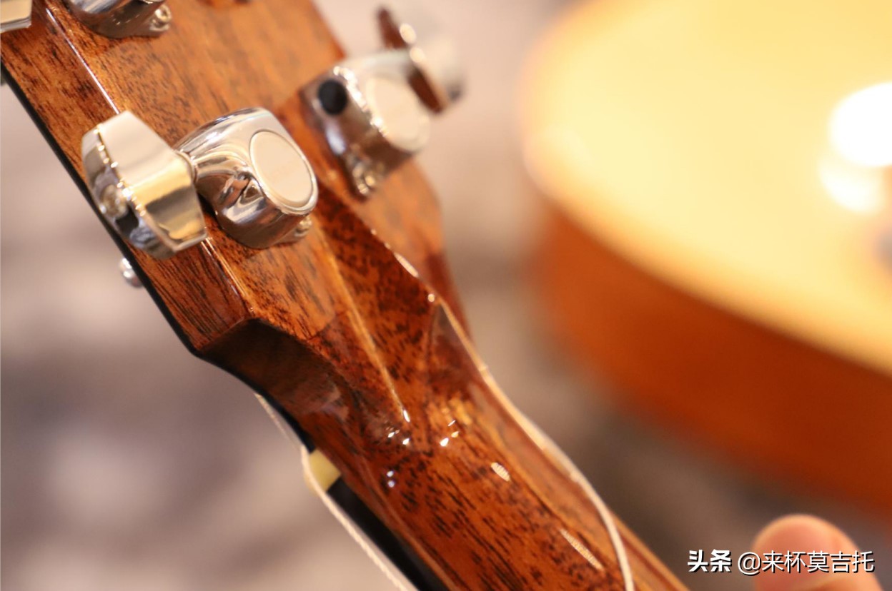 雅马哈fg800和费森vz90,雅马哈fg800和fg800vn对比