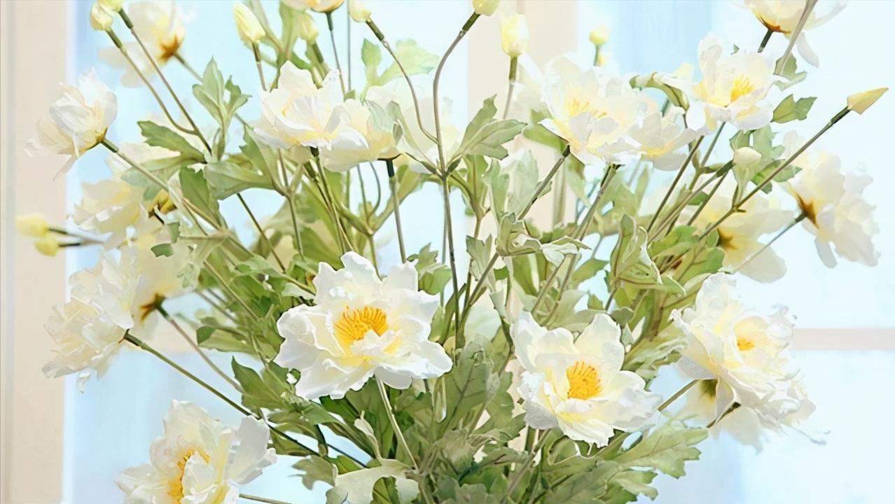 聪明女人在爱情里懂得这些事,在爱情里女人必须要知进退