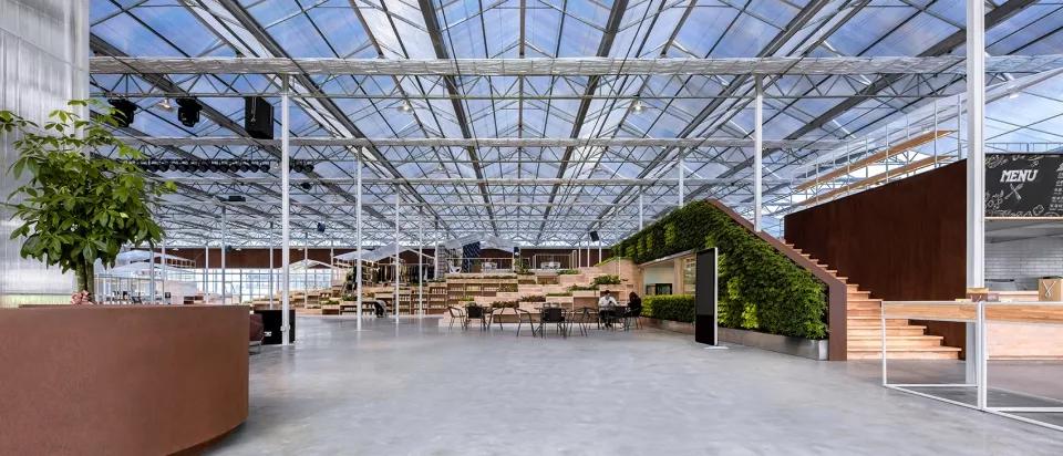 乡村振兴特色文化案例分享,关于乡村振兴比较有创意的点子