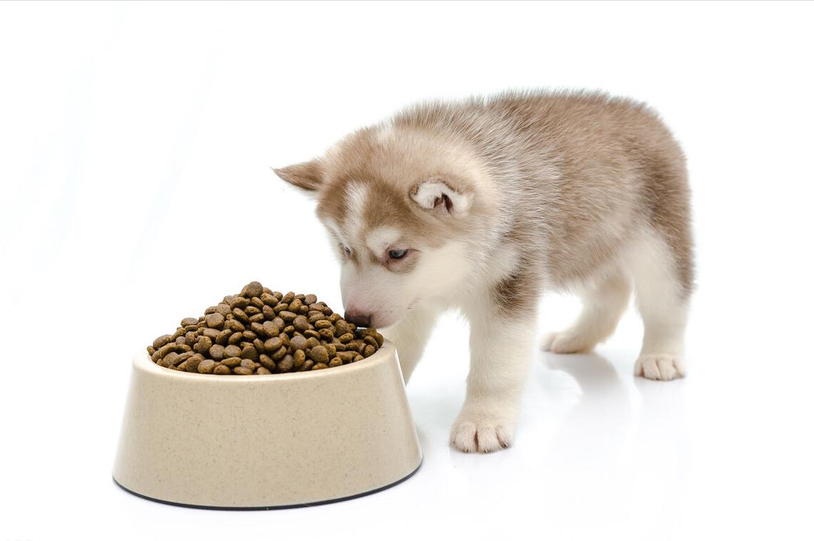 有没有适合养狗的狗粮配方,新手养狗幼犬吃什么狗粮好