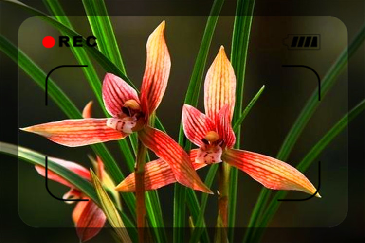 负债20万月入2万怎样翻身,40岁负债20万怎么翻身