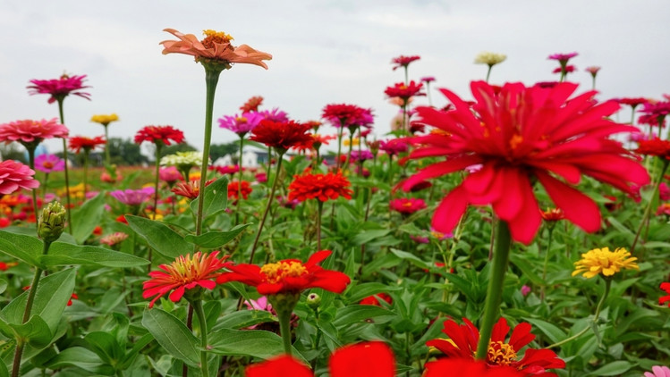 南浔不仅仅只有古镇，带你去玩不一样的南浔