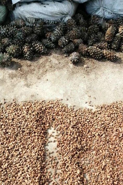 家乡特色美食分享,我家乡的特色是什么