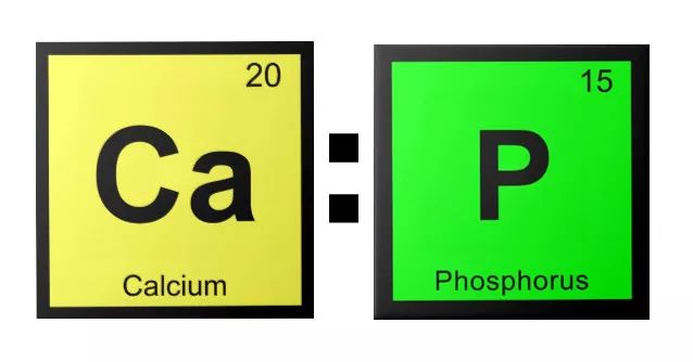 幼猫猫粮钙磷比多少最好,猫粮最佳钙磷比