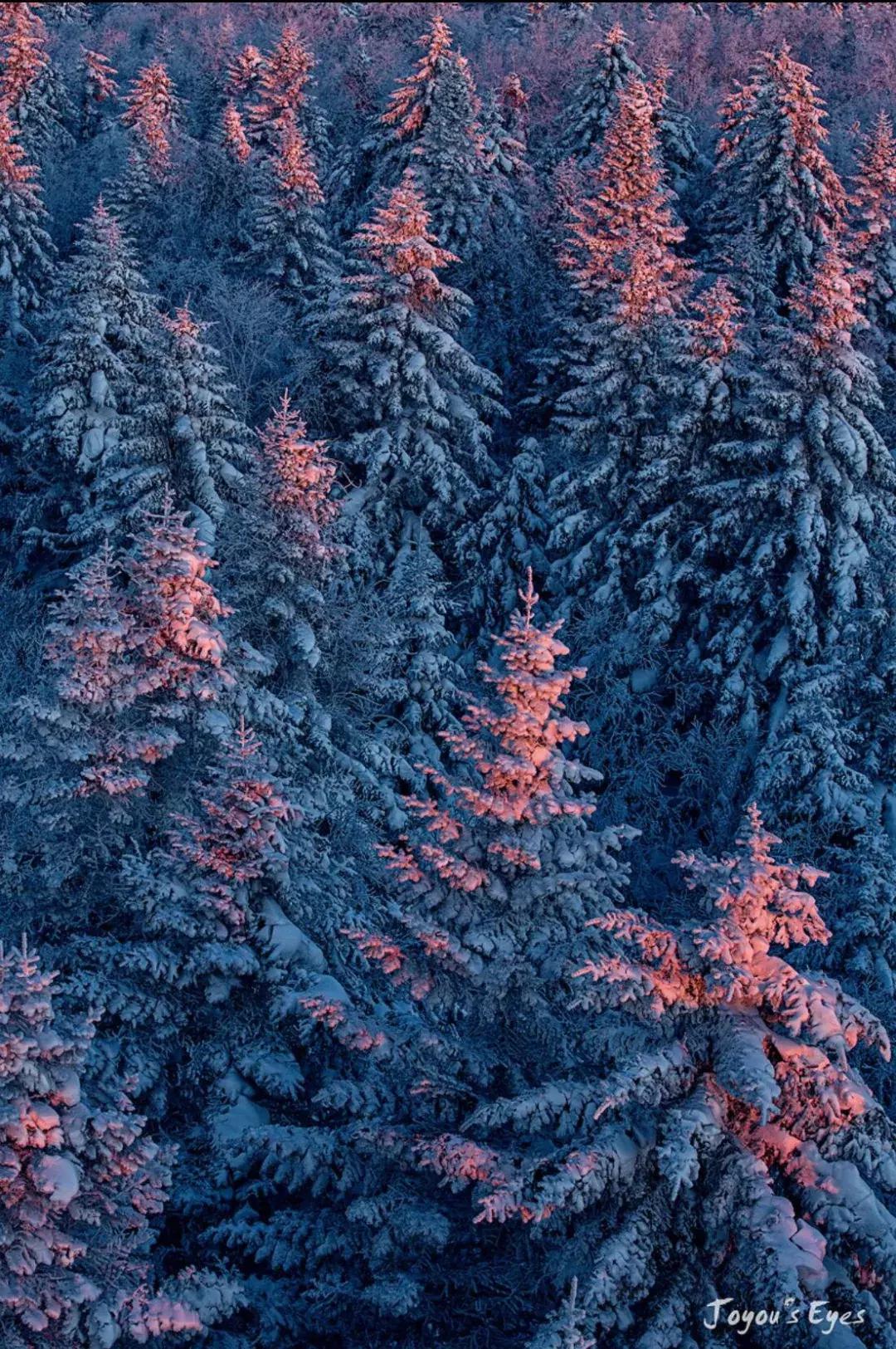 冰雪拍摄技巧和注意事项,冰天雪地雪景摄影技巧大全