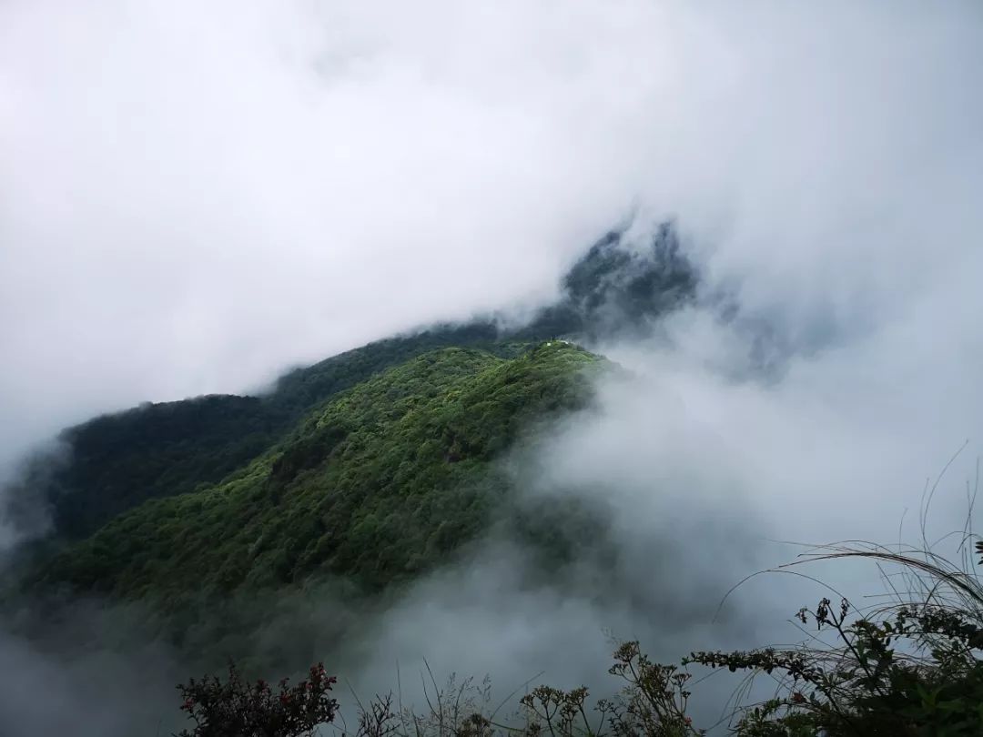 贵州中秋旅游最佳去处,贵州旅游十大景点排名中秋