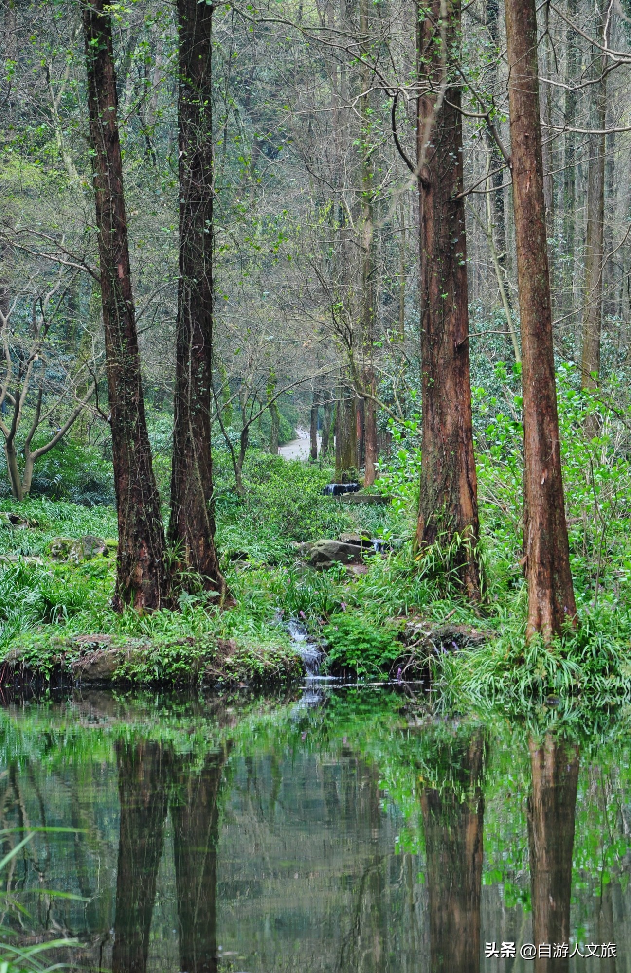 环西湖群山徒步毅行,行走西湖古诗词