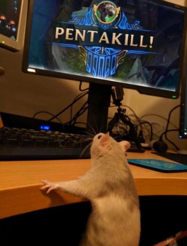 lol婕拉厉害,婕拉lol操作秀