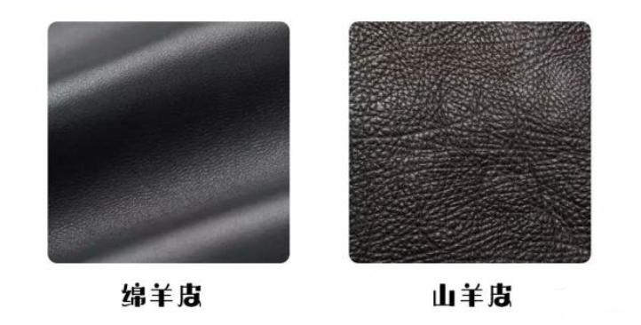 包神日记丨包包皮质折价大对比！你的包包还值多少？