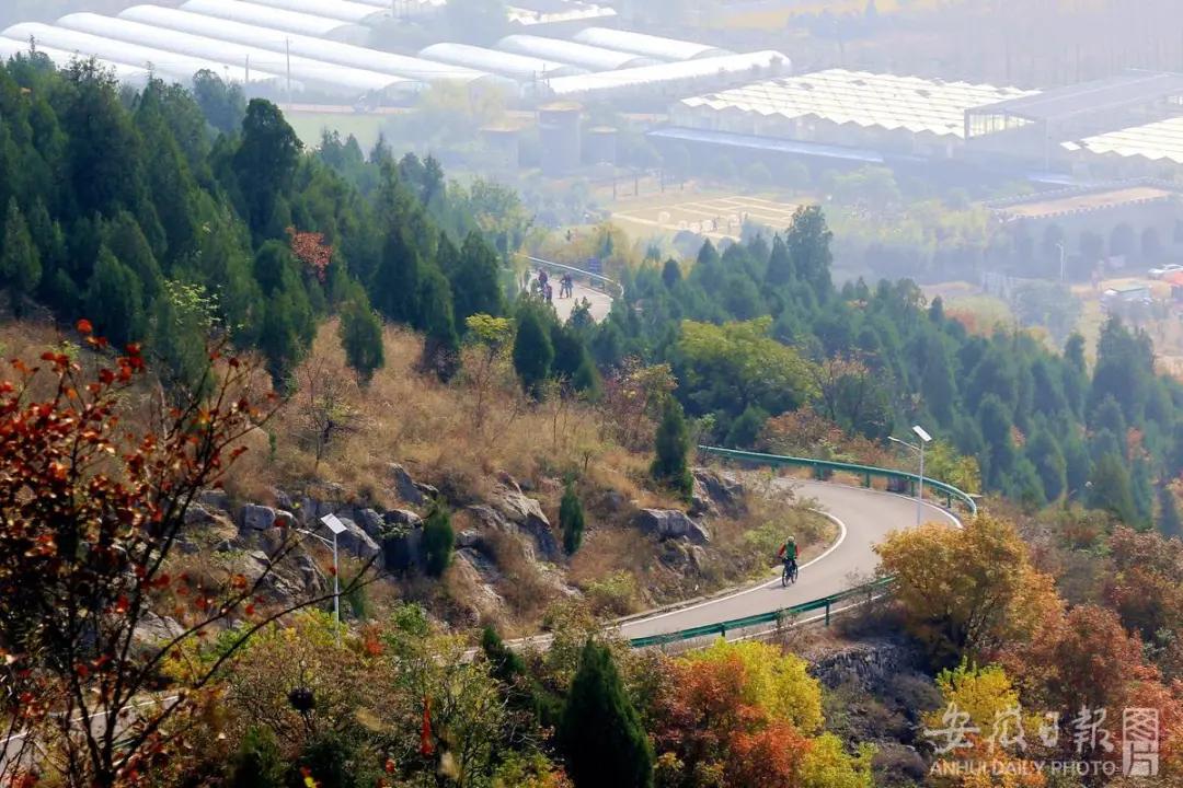 宿州夏天最美的风景在哪里,宿州观赏秋景