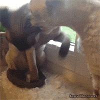 脸书发了个Q币,整个币圈都在大呼小叫