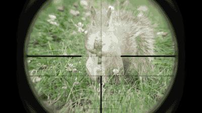 陈鹤皋疯狗拳自由搏击,陈鹤皋疯狗拳宗师