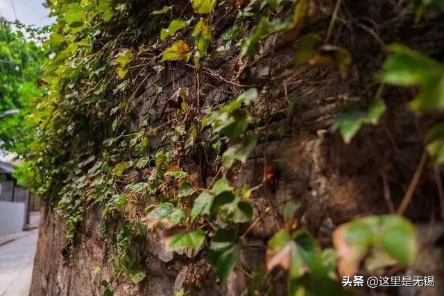 无锡南长街的老街,无锡南长街推荐