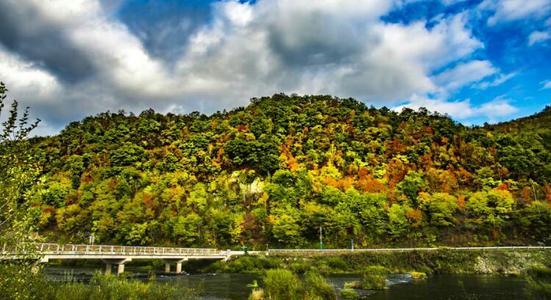 东北林场趣闻轶事,东北林场的趣事