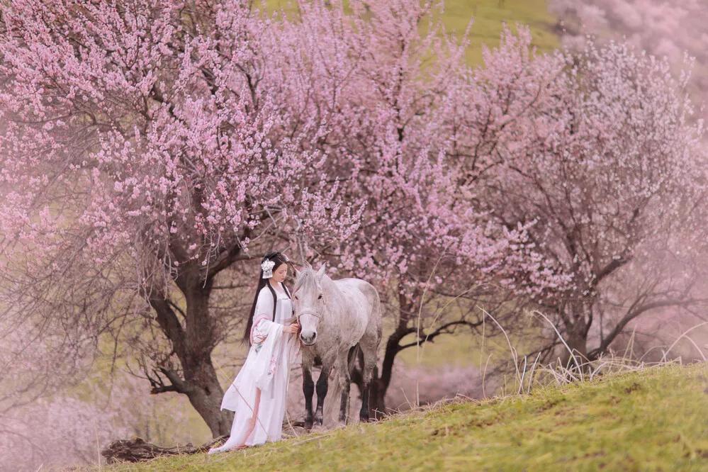 题都城南庄留给了我什么印象,题都城南庄深度解读