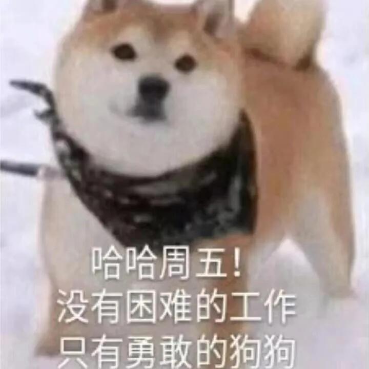 打工这辈子是不会打工的表情包,打工是不可能打工的表情包原图