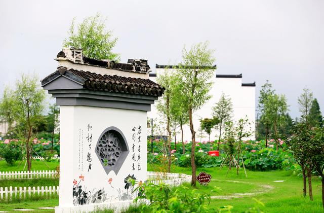 有人说5d3质量比5d4好真的假的,5d4买24-105好还是24-70