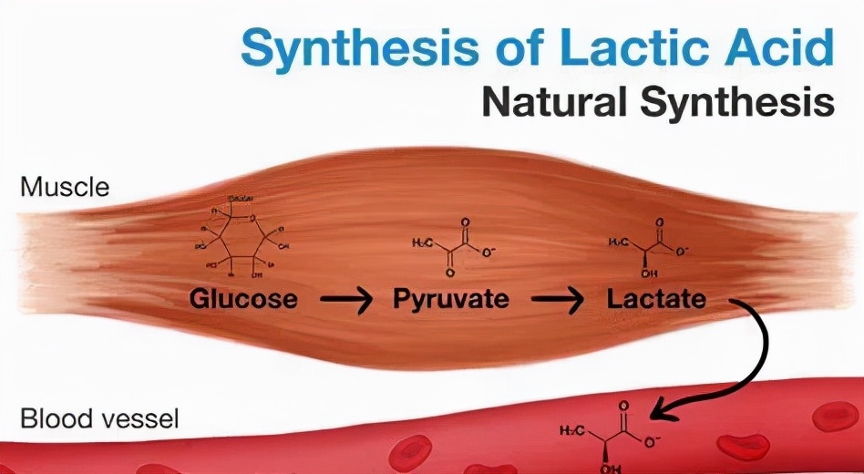雏鸡跛脚是什么原因,雏鸡勾脖子蹲腿是什么病