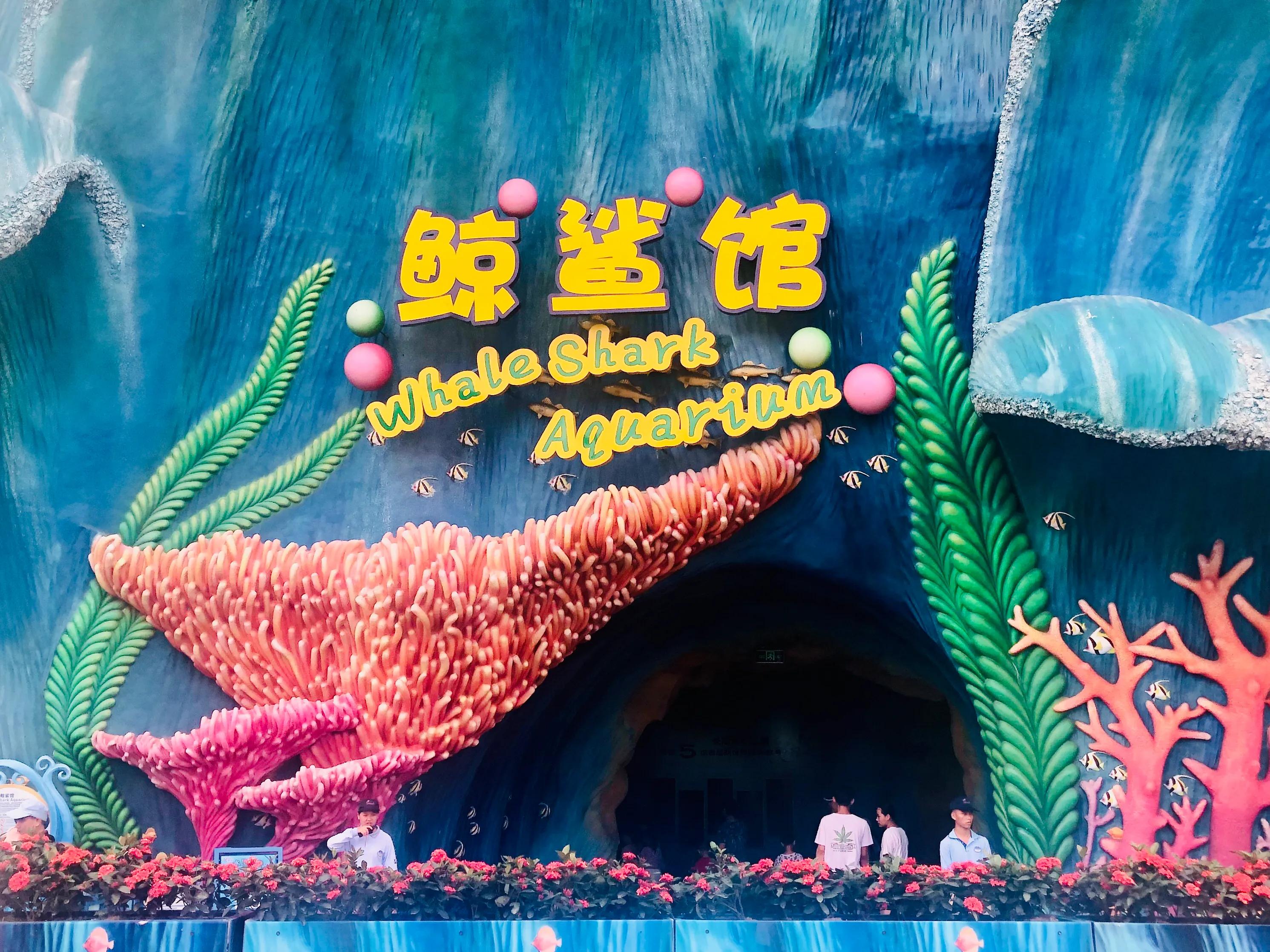 珠海长隆游玩攻略和时间,一月珠海长隆游玩攻略三天两晚