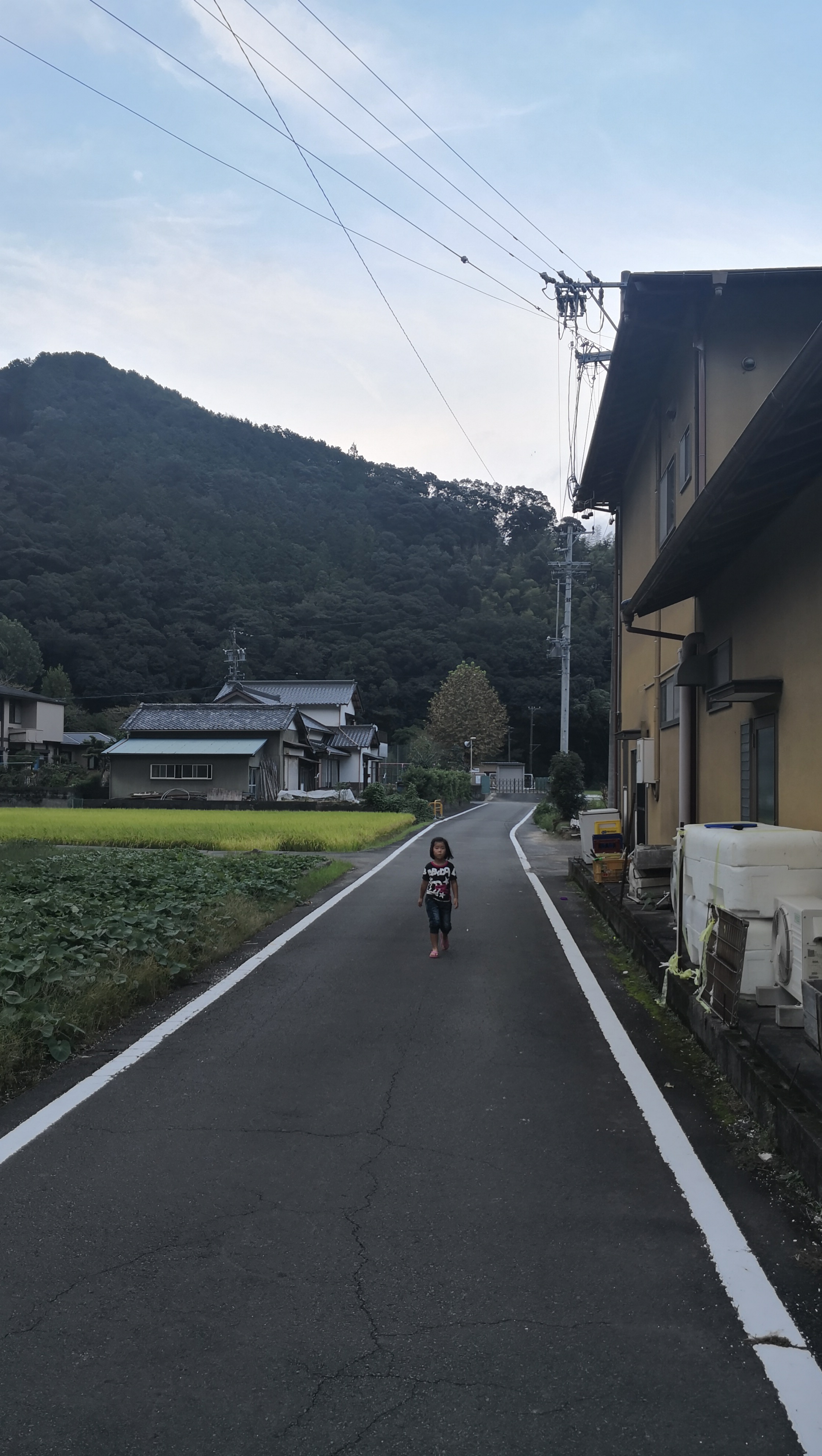 日本本州六日游攻略,日本本州旅游六日游