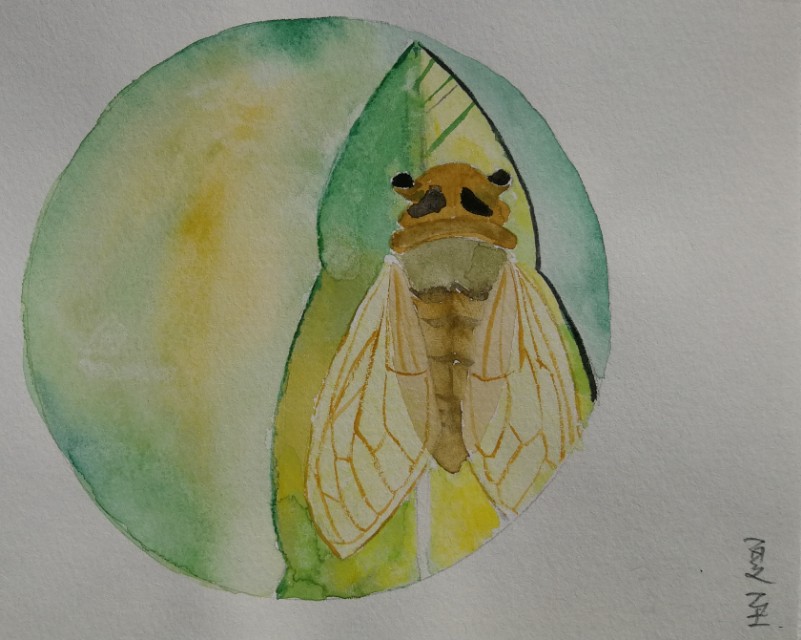 历代茶诗大全,二十四节气菜单大全