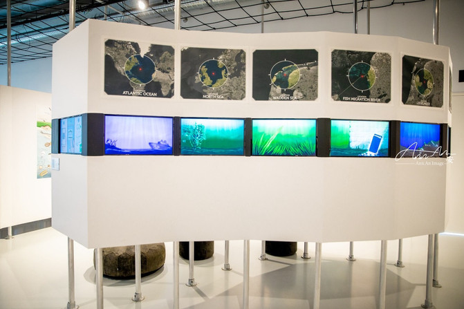 你来荷兰不可不打卡的梵高足迹地,荷兰梵高观光地点