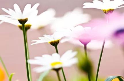 和谁在一起将会改变你的人生走向,和谁在一起决定你成为什么样的人