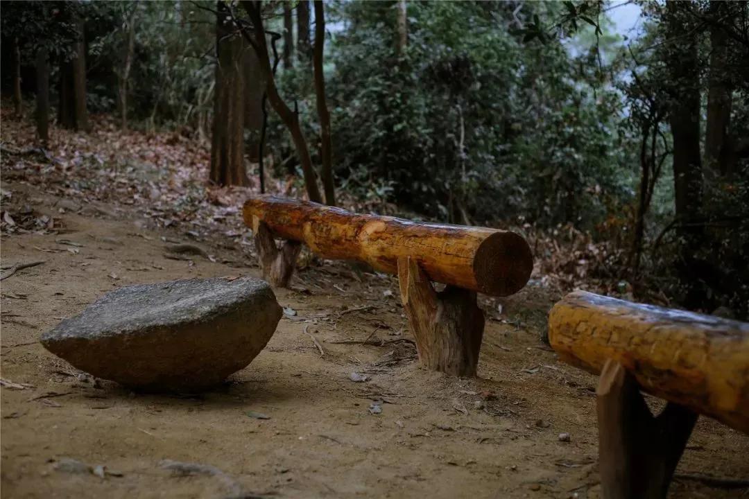 深圳首条手作“原始登山道”,人少好爬景色超美…过年去哪不用愁