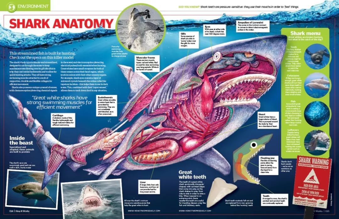 人类最致命的天敌,人类自相残杀的基因