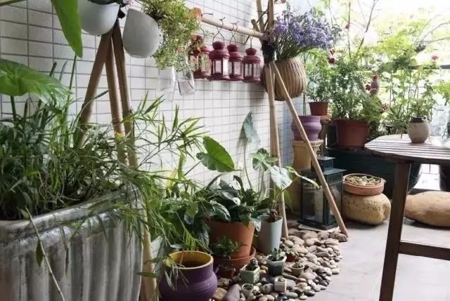 阳台变身小花园总有一款适合你,阳台可以打造成小花园吗