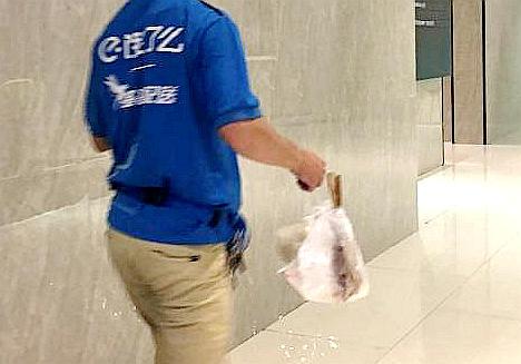 北海现在该不该让外卖小哥进小区、上楼？个人觉得该！