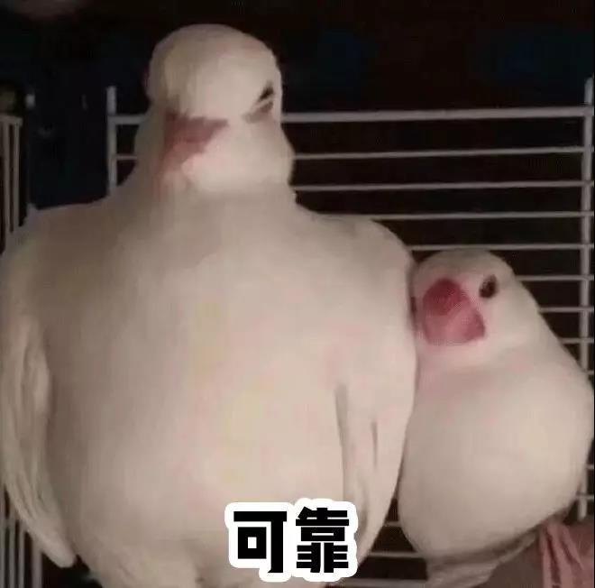 女生必备的护肤品应该有哪些,女生护肤的东西