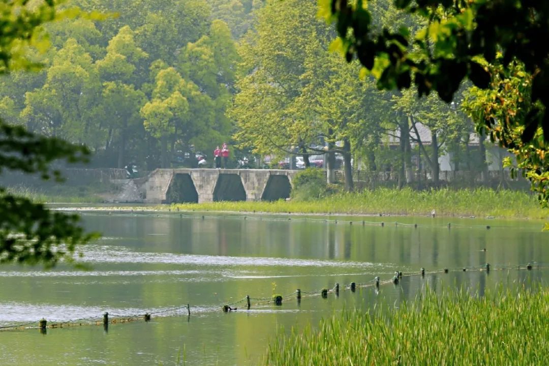 欣赏西湖的全景太美了,西湖美景实在美怎么也看不够