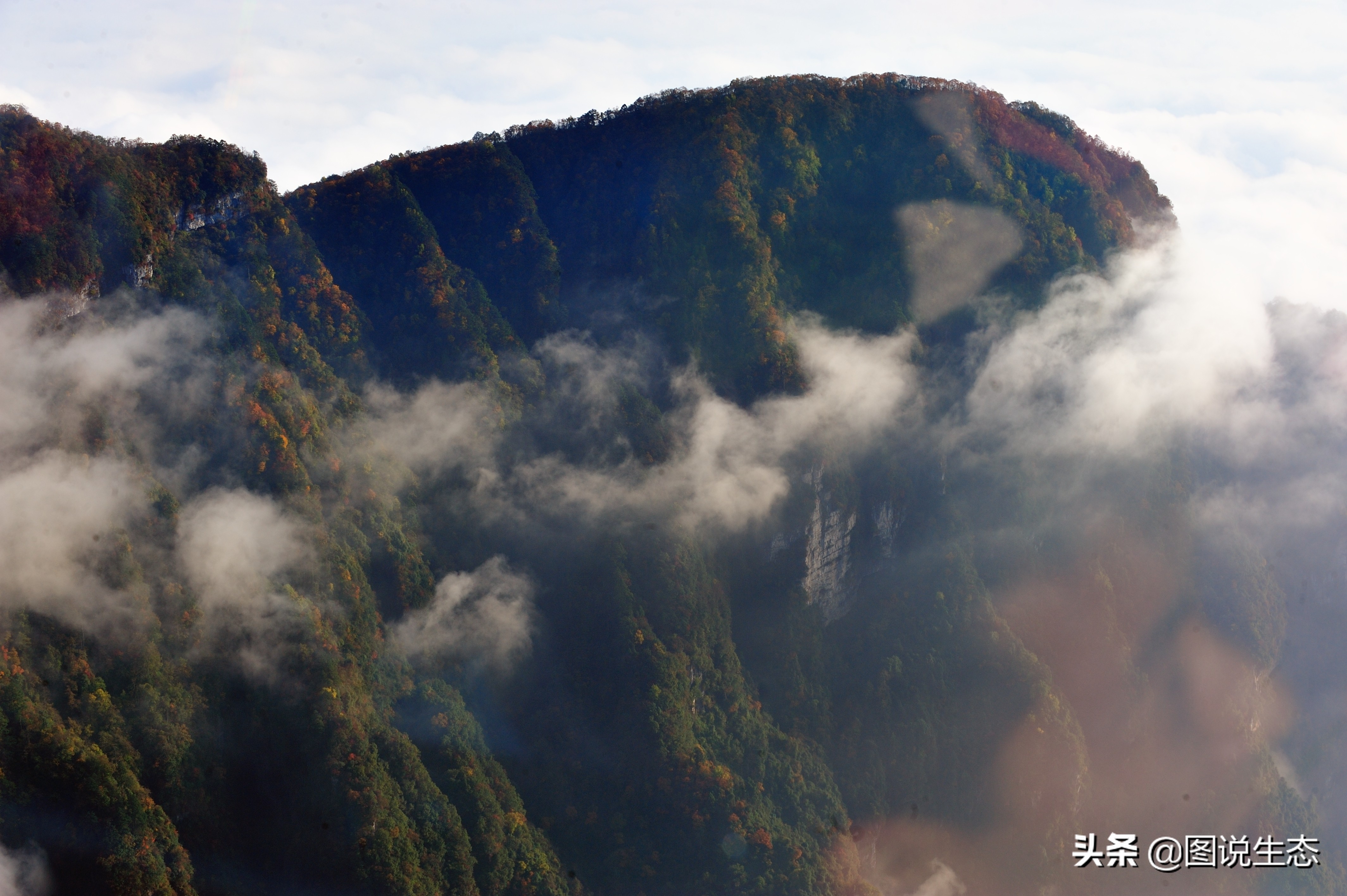 登上峨眉山金顶看风景,峨眉山日出云海佛光圣灯照片