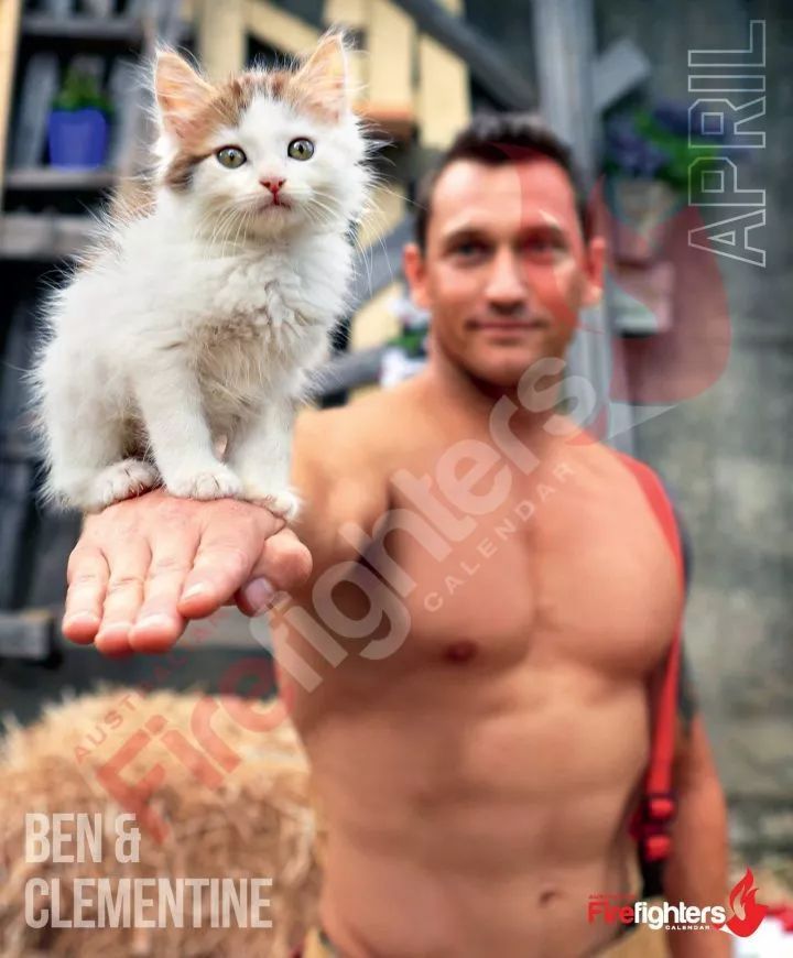 来了来了!他们带着猫猫又来了