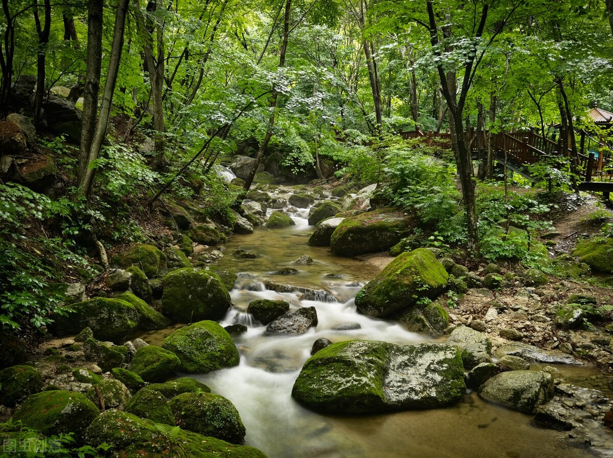 跟我走进辽宁这些山沟沟送你一个低8度的夏天