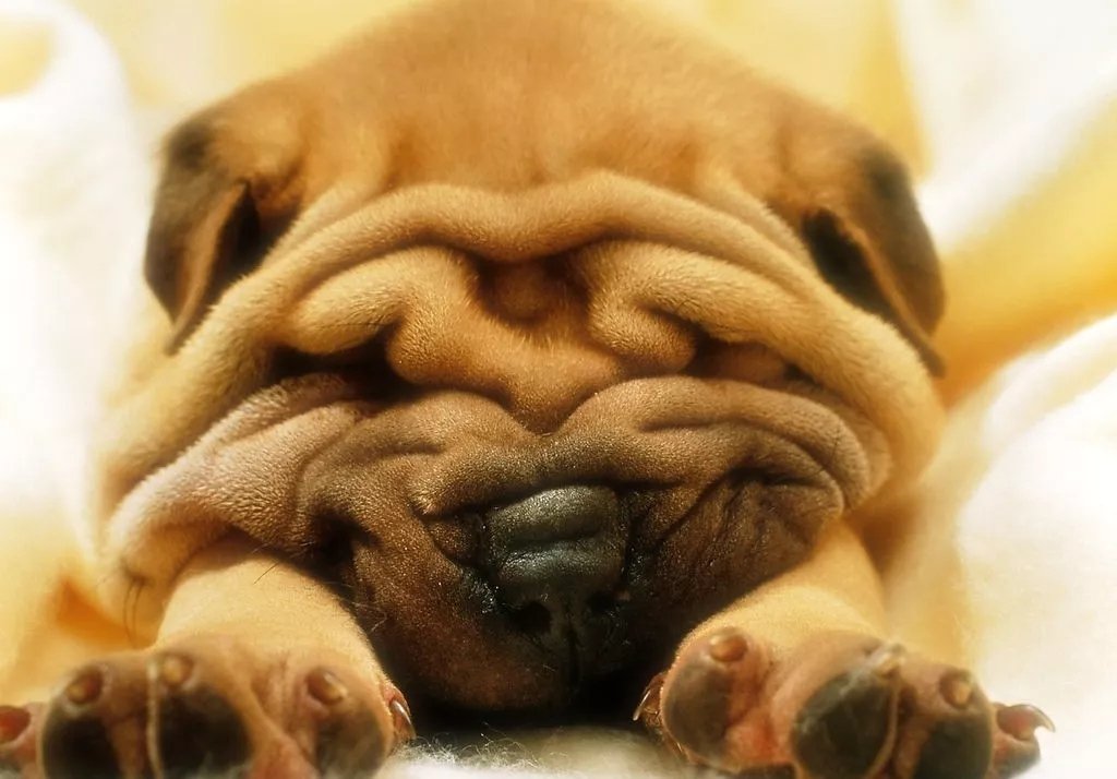 皱纹老化下垂怎么办,眼皮松弛下垂皱纹多最好解决方法