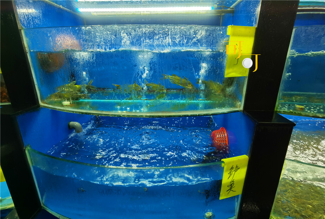 湖州荻港渔村美食,湖州荻港渔庄陈家私房菜