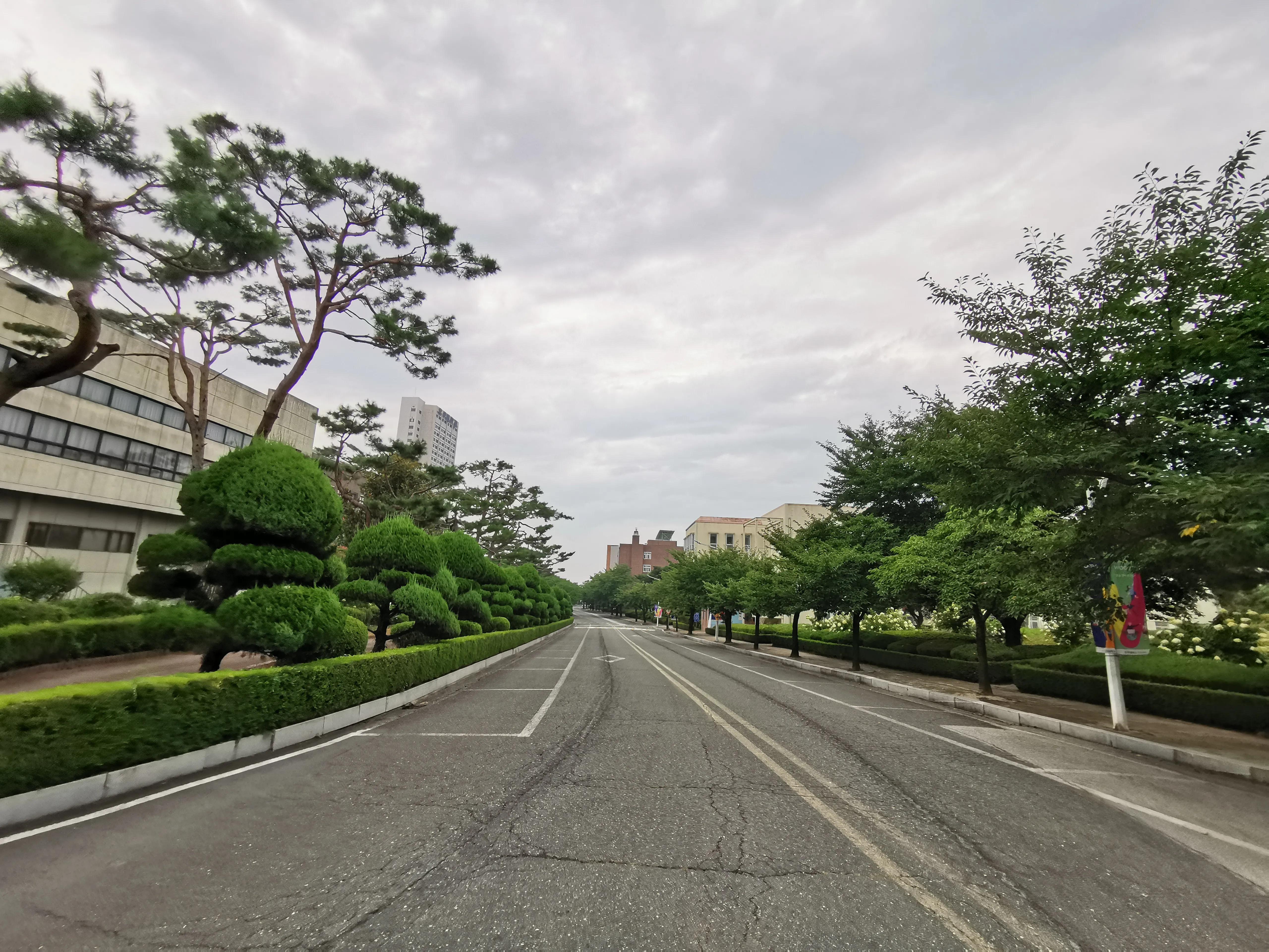 回国隔离时间7天,回国人员集中隔离后怎么回家