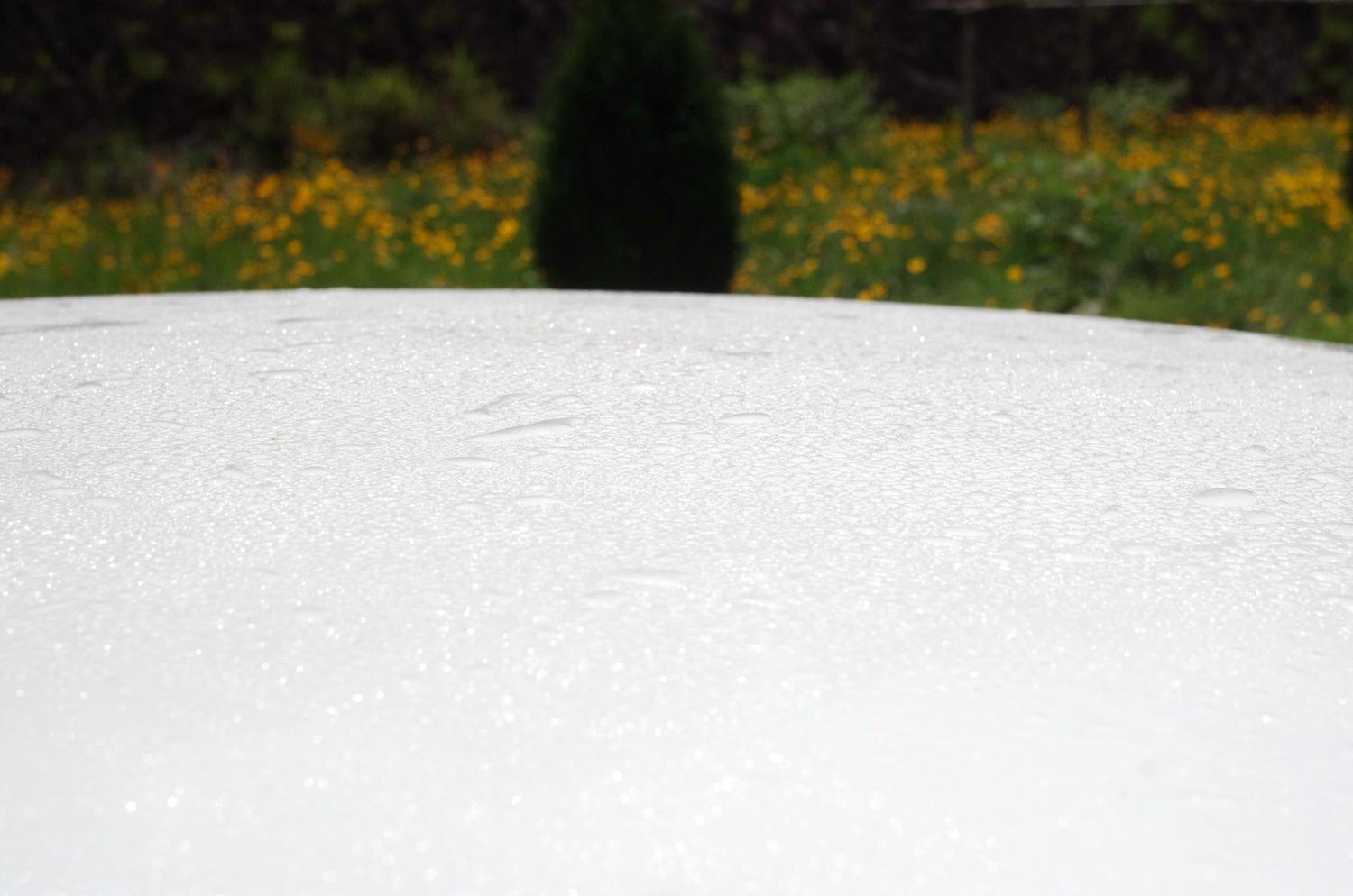 汽车布座椅有污渍怎么清洗,白色汽车上有黑色污渍怎么清洗